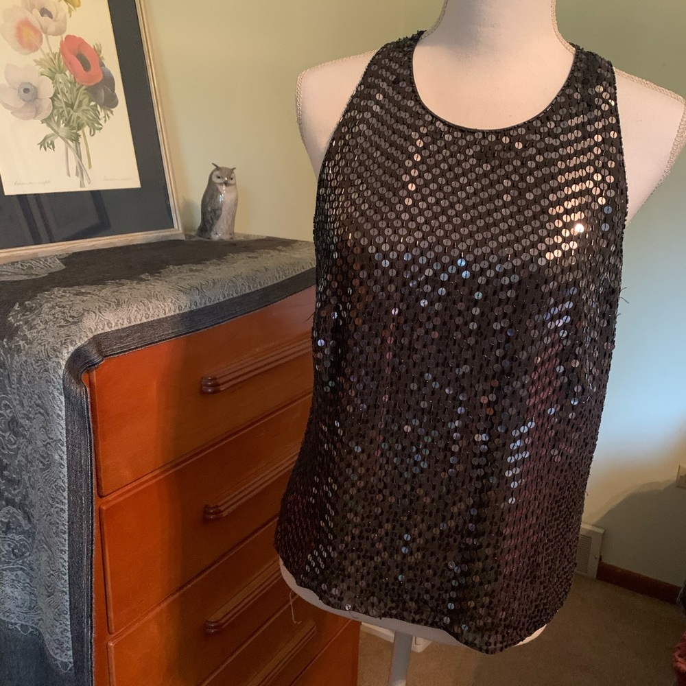 Ann Taylor Sequin Blouse: 12